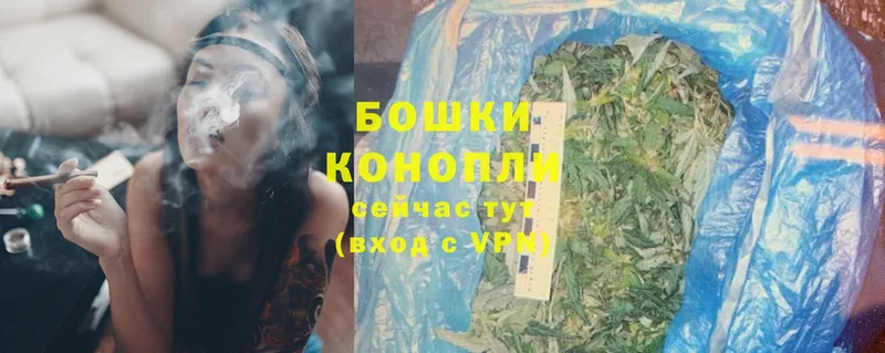 купить  цена  Тайга  Марихуана OG Kush 